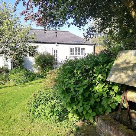 Cozy Country Cottage With Beautiful Rural ViewsNew Quay エクステリア 写真