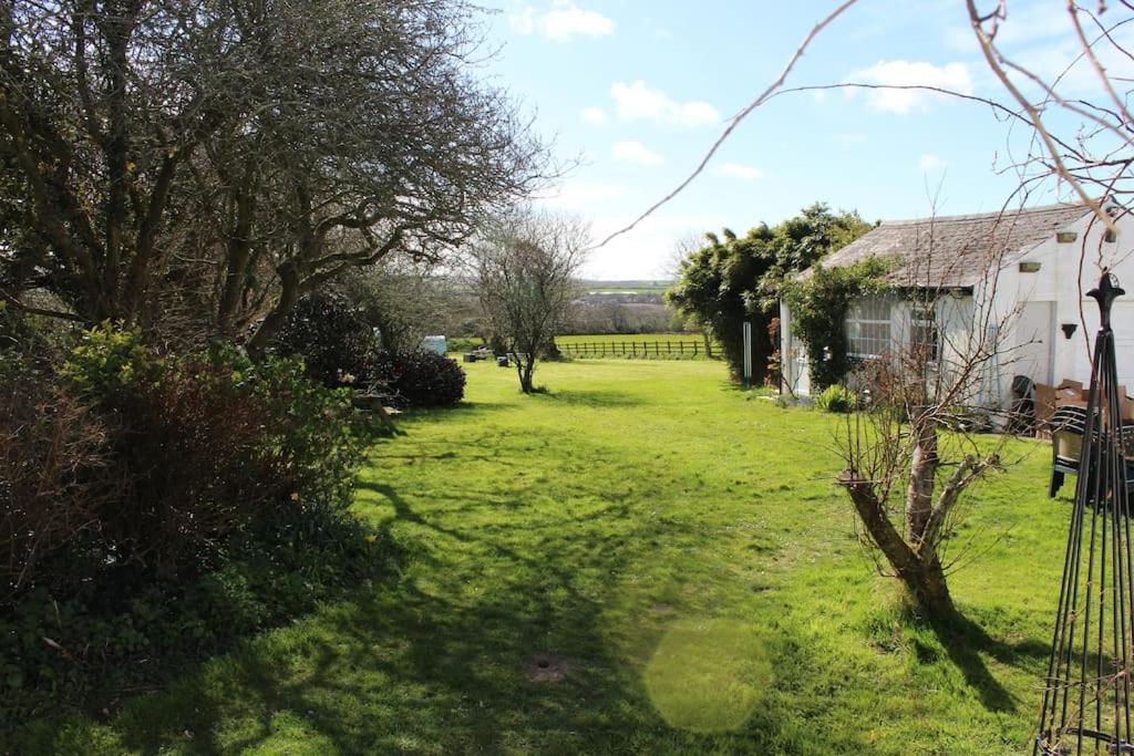 Cozy Country Cottage With Beautiful Rural ViewsNew Quay エクステリア 写真