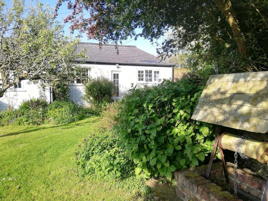 Cozy Country Cottage With Beautiful Rural ViewsNew Quay エクステリア 写真