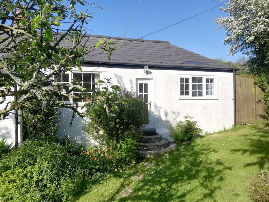 Cozy Country Cottage With Beautiful Rural ViewsNew Quay エクステリア 写真